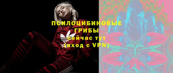 гашик Армянск