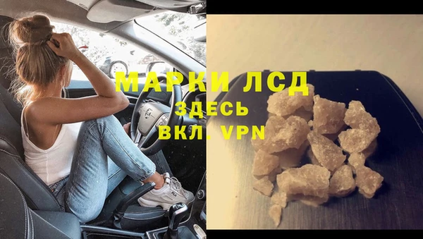 ECSTASY Алзамай