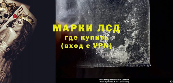 ECSTASY Алзамай